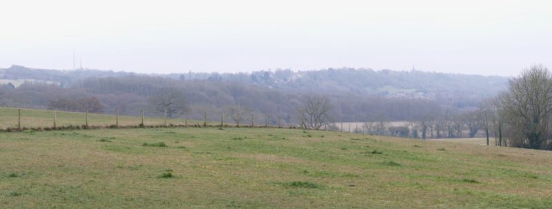 Seven Cornfields